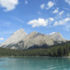 Meet your Posher, Dora